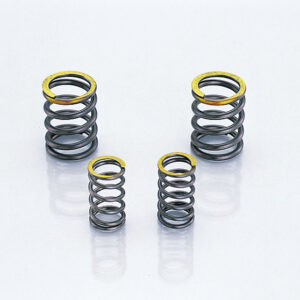 UTR SE VALVE SPRING SET KITACO 3031123200